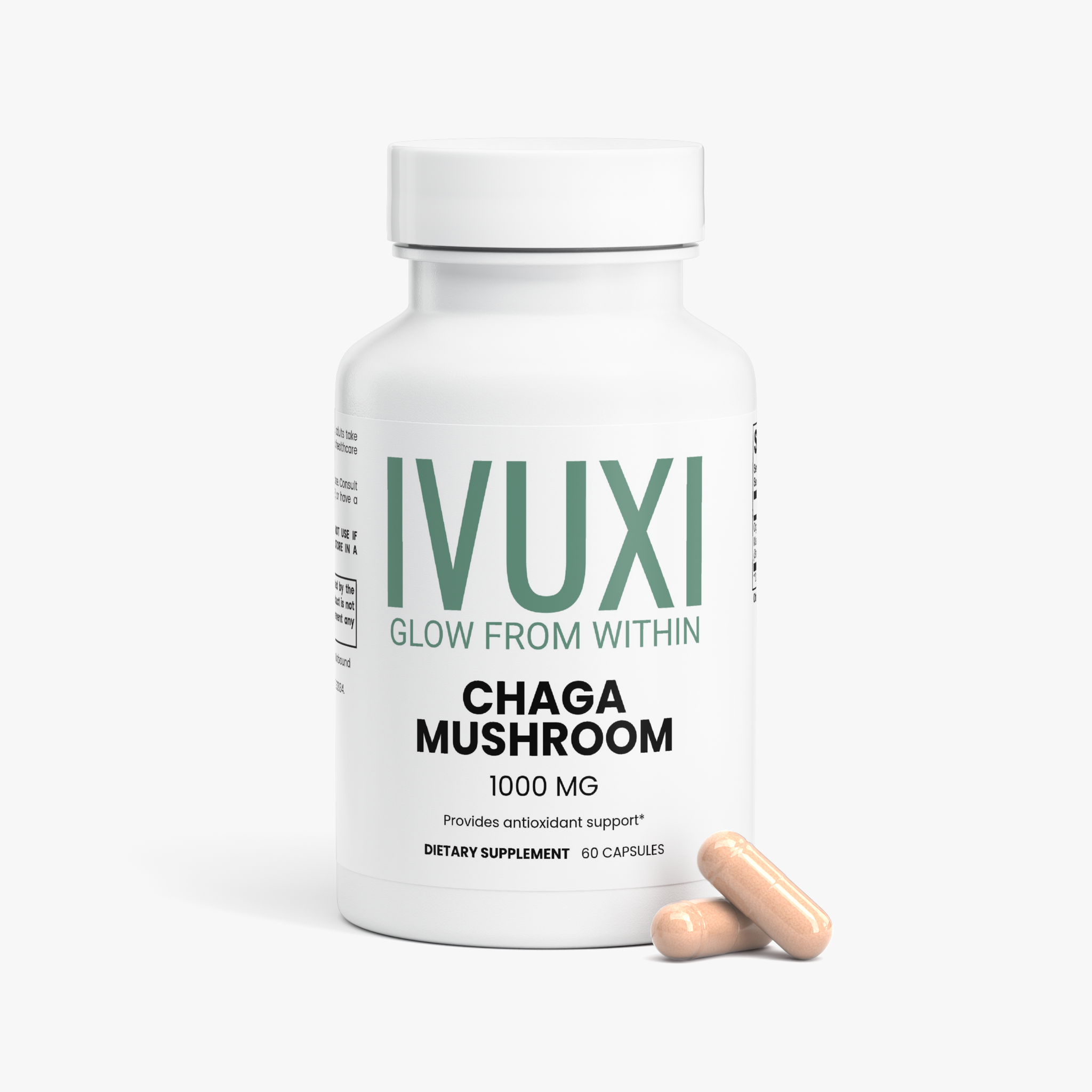 Chaga Mushroom