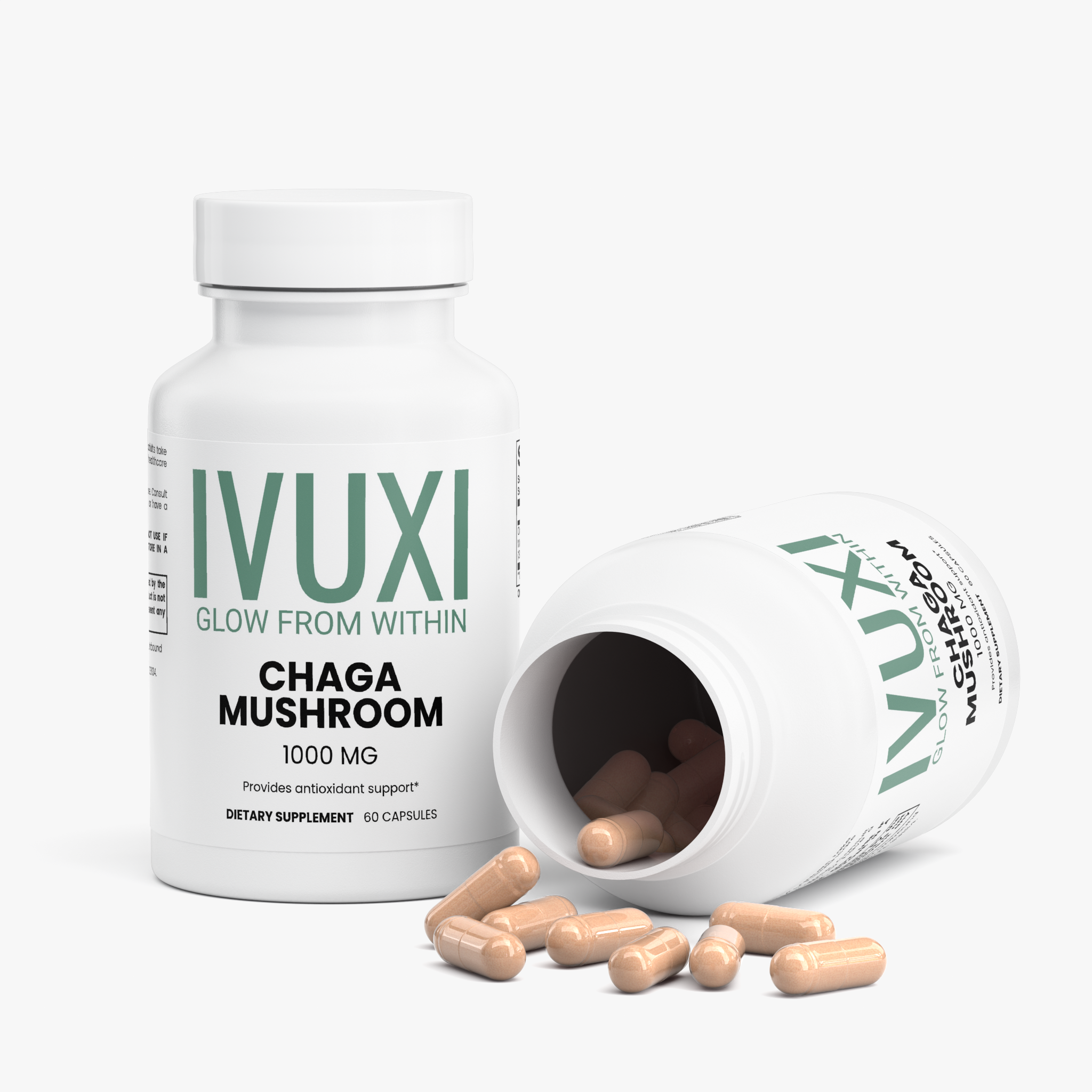 Chaga Mushroom